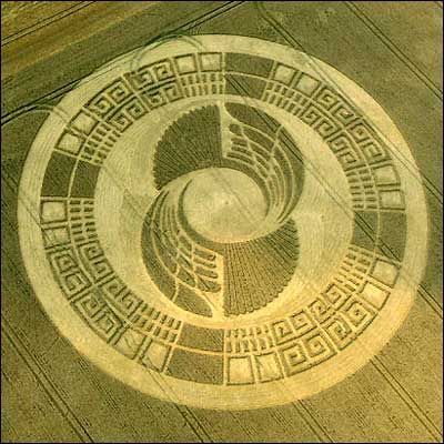 400 Best Crop Circles ideas | crop circles, cropped, ancient aliens