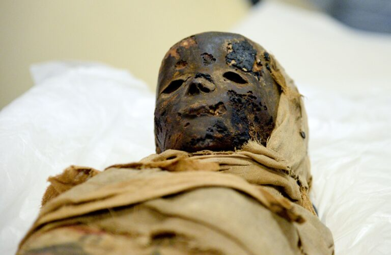 Enigma of Laredo Kid: Identifying the Neanderthal/Human Hybrid Mummy - Mnews