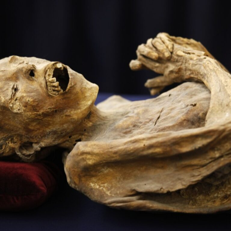 Enigma of Laredo Kid: Identifying the Neanderthal/Human Hybrid Mummy - Mnews