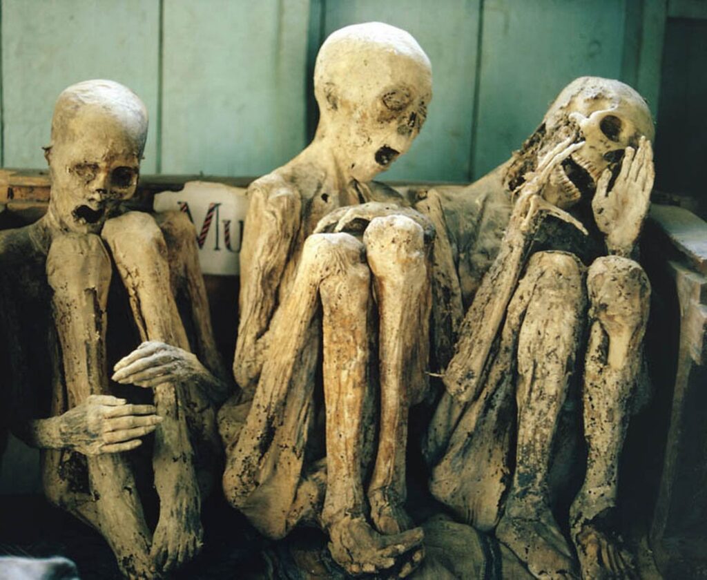 unlocking the secrets of the dead the spine chilling discovery of the most disturbing mummified remains 1