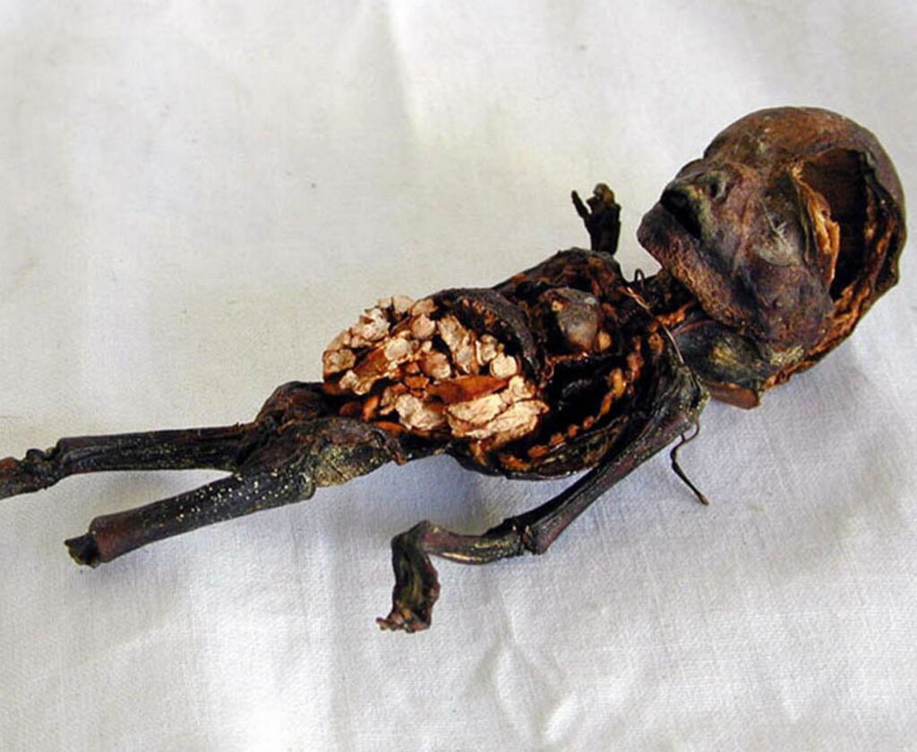 unlocking the secrets of the dead the spine chilling discovery of the most disturbing mummified remains 12
