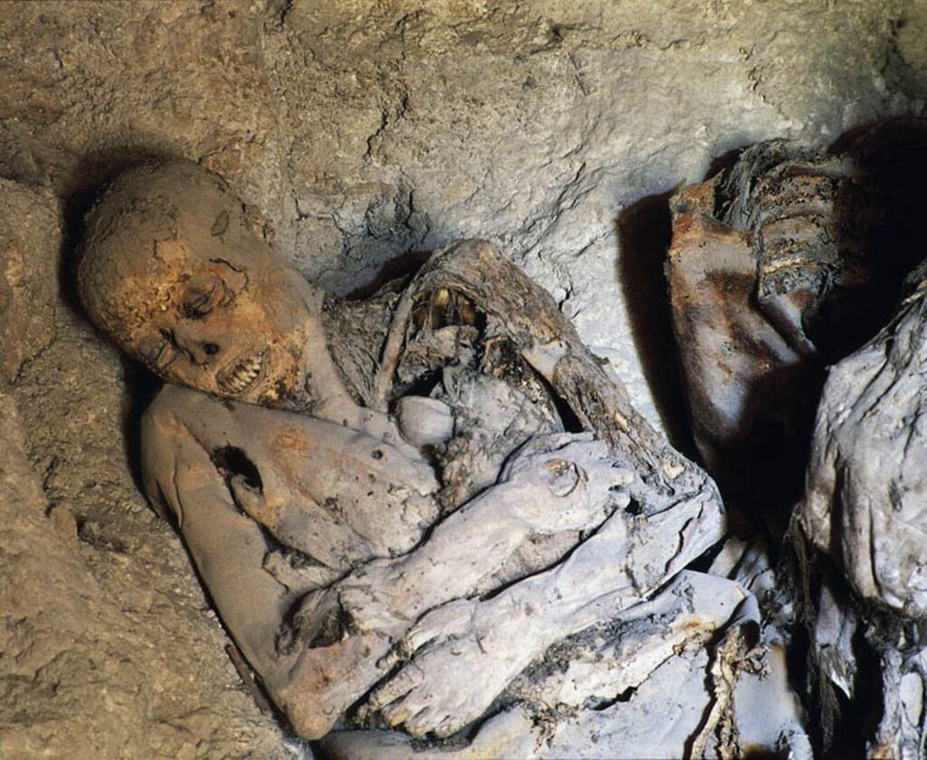unlocking the secrets of the dead the spine chilling discovery of the most disturbing mummified remains 2