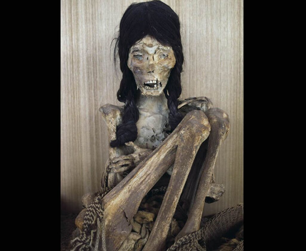 unlocking the secrets of the dead the spine chilling discovery of the most disturbing mummified remains 5
