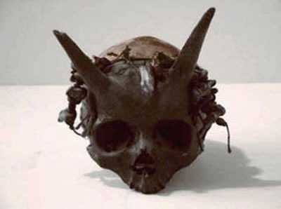 in the 1880s a prehistoric skull with horns was disco%CA%8Bered during an archaeological dig in sayre 2