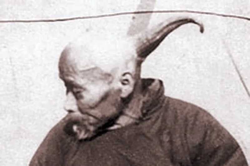 in the 1880s a prehistoric skull with horns was disco%CA%8Bered during an archaeological dig in sayre