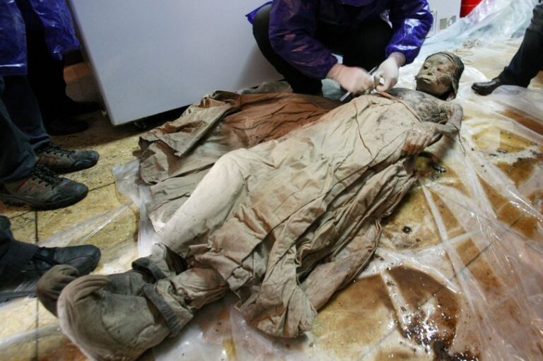A 700-Year-Old Mummy Perfectly Preserved In Brown Liquid Appears To Be Only A Few Months Old - Content4Mix