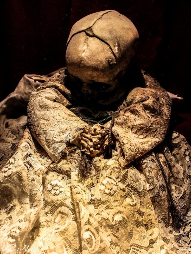 The Mystery Of The Mummies Of Guanajuatο… Sad Mexican Histοry – Mnews
