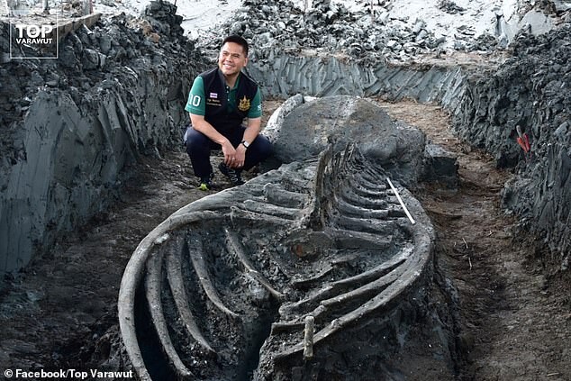 %CE%B1 39 foot long 5000 year old huge monster was found i%D0%BF thailand %E2%80%93 unexpectedly well preserved 2