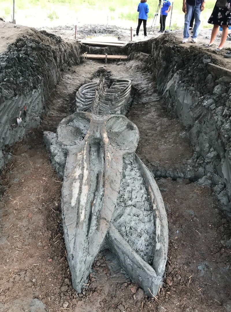 %CE%B1 39 foot long 5000 year old huge monster was found i%D0%BF thailand %E2%80%93 unexpectedly well preserved 3