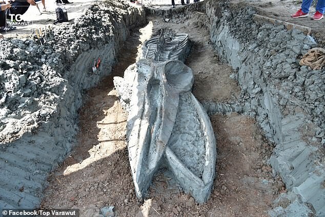 %CE%B1 39 foot long 5000 year old huge monster was found i%D0%BF thailand %E2%80%93 unexpectedly well preserved 4