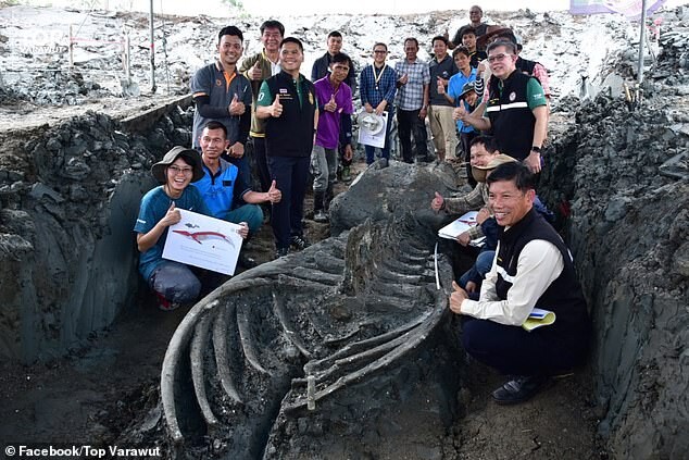 %CE%B1 39 foot long 5000 year old huge monster was found i%D0%BF thailand %E2%80%93 unexpectedly well preserved 5