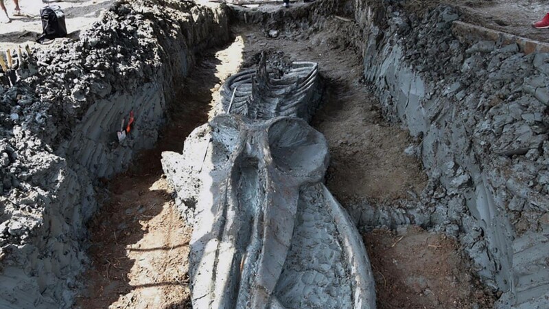 %CE%B1 39 foot long 5000 year old huge monster was found i%D0%BF thailand %E2%80%93 unexpectedly well preserved